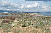 Vendicari nature reserve